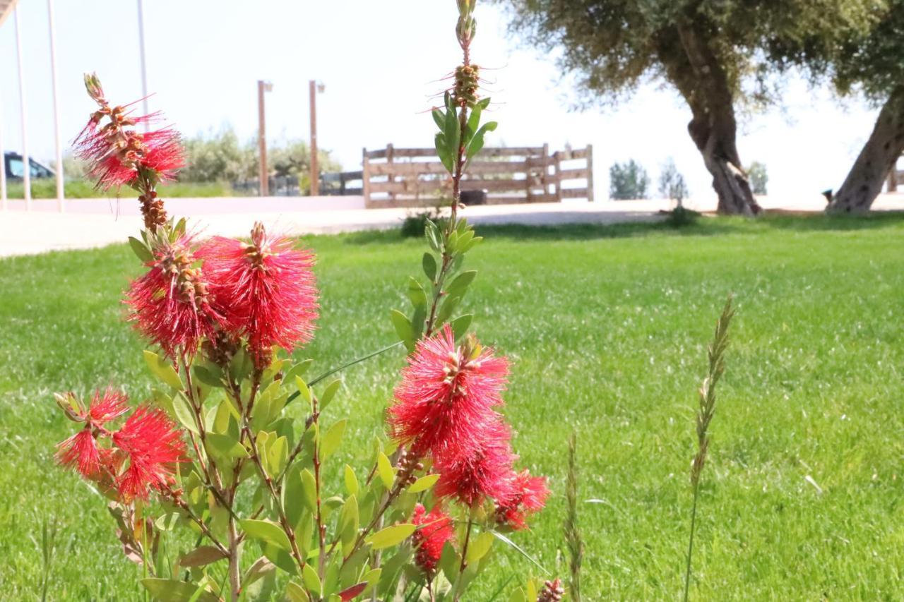منزل الضيف إليامبويا  في La Finestra Del Delta المظهر الخارجي الصورة