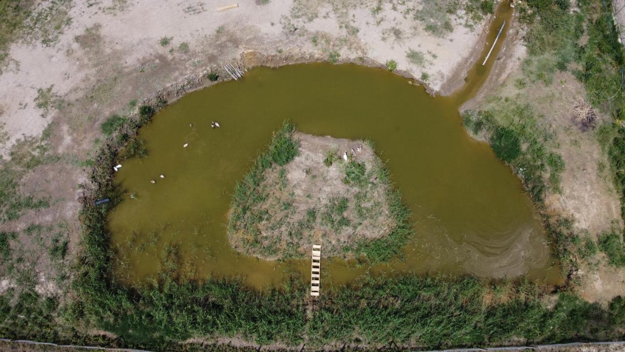 منزل الضيف إليامبويا  في La Finestra Del Delta المظهر الخارجي الصورة